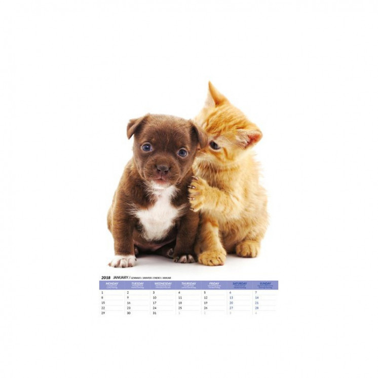 Calendrier Cute Pets 2018