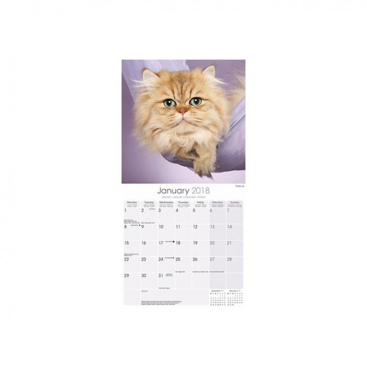 Calendrier des chats 2018