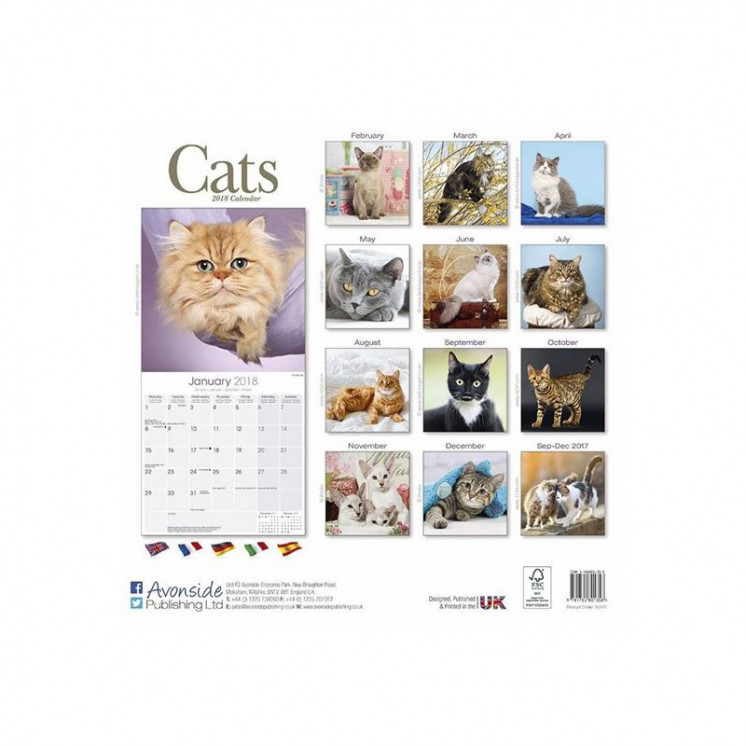 Calendrier des chats 2018