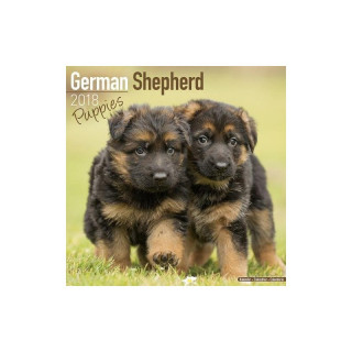 Calendrier Chiot Berger Allemand 2018