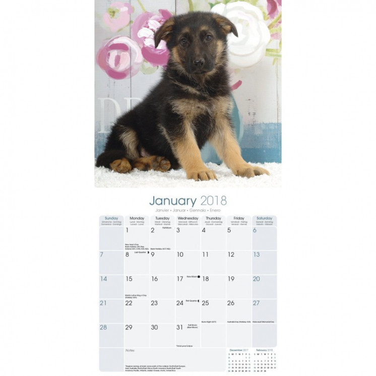 Calendrier Chiot Berger Allemand 2018