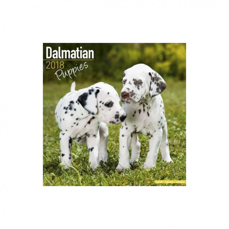 Calendrier des chiots dalmates 2018