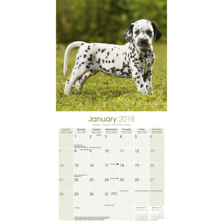 Calendrier Chiot Dalmatien 2018