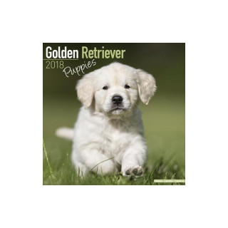 Calendrier Chiot Golden Retriever 2018