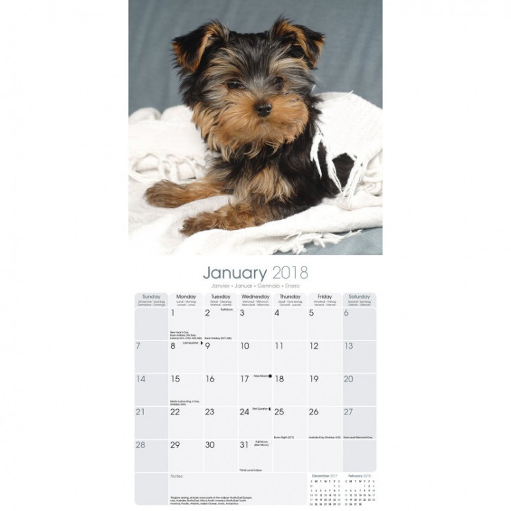 Calendrier Chiot Yorkshire Terrier 2018