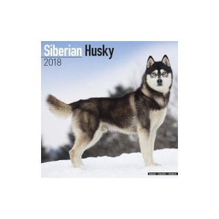 Calendrier Husky Sibérien 2018