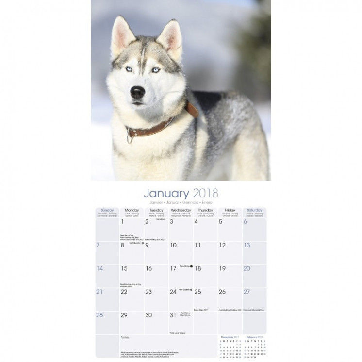 Calendrier Husky Sibérien 2018