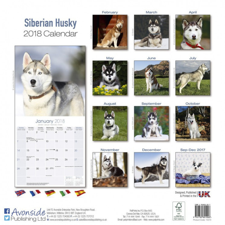 Calendrier Husky Sibérien 2018