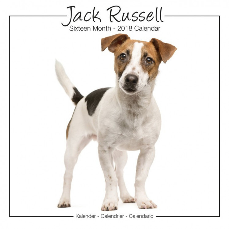 Calendrier Jack Russell 2018