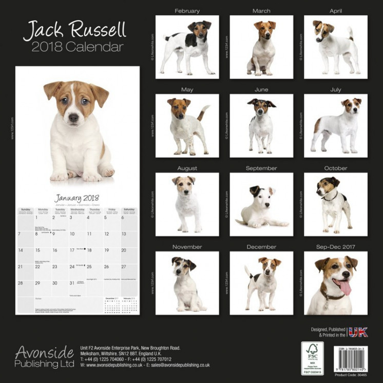 Calendrier Jack Russell 2018