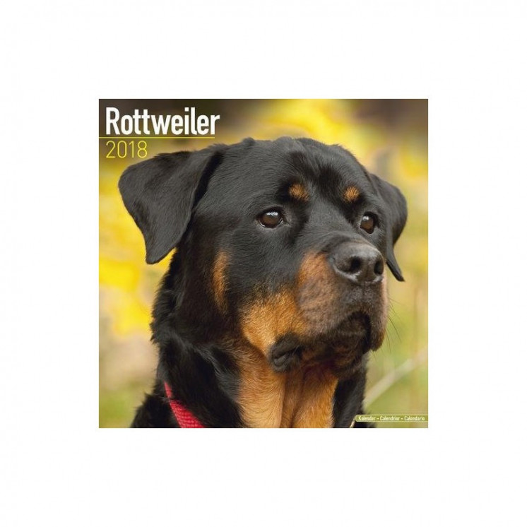 Calendrier Rottweiler 2018