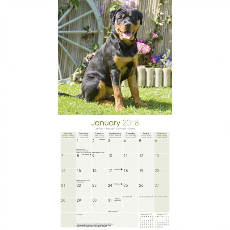 Calendrier Rottweiler 2018