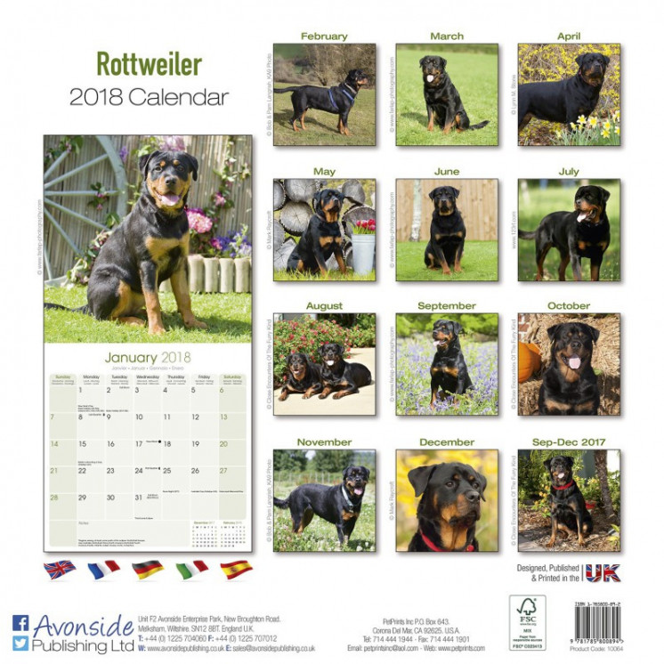 Calendrier Rottweiler 2018