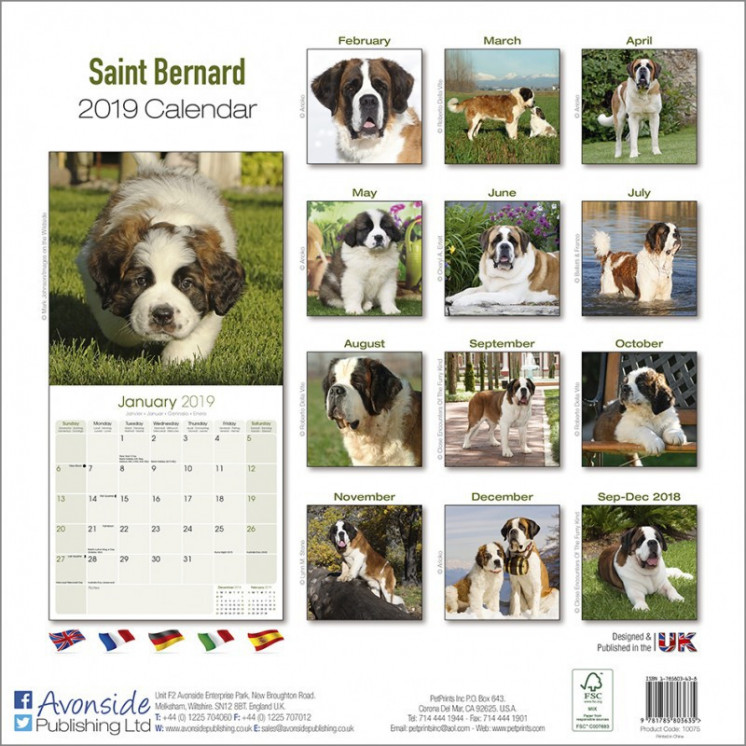 Calendrier Saint-Bernard 2019