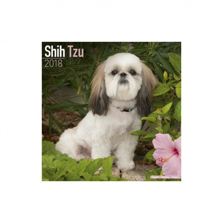 Calendrier Shih Tzu 2018