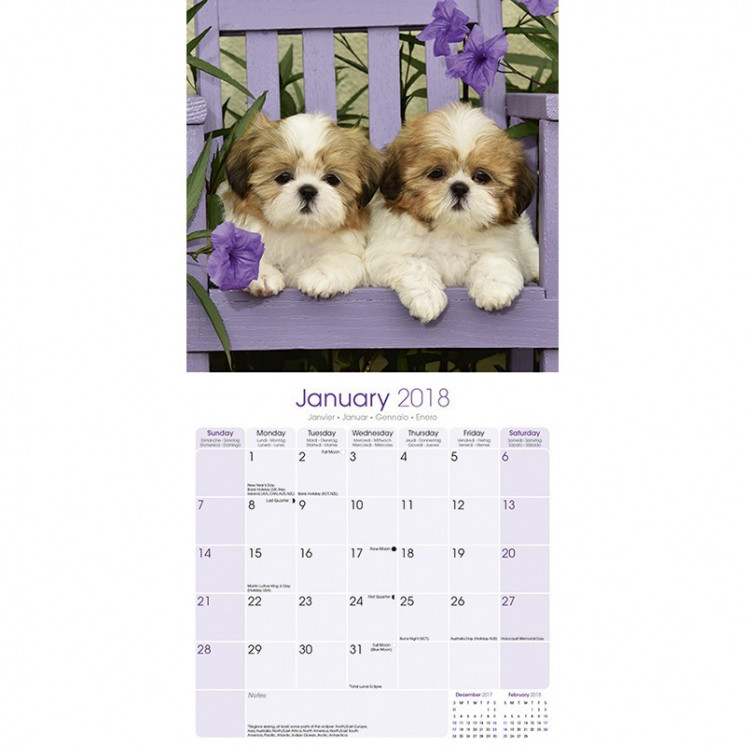 Calendrier Shih Tzu 2018