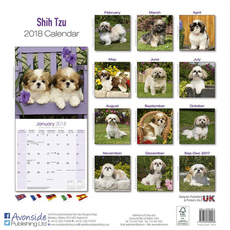 Calendrier Shih Tzu 2018