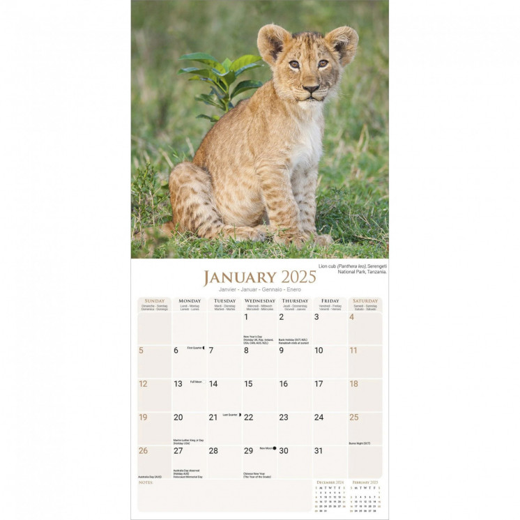 Calendrier Animaux sauvages 2025