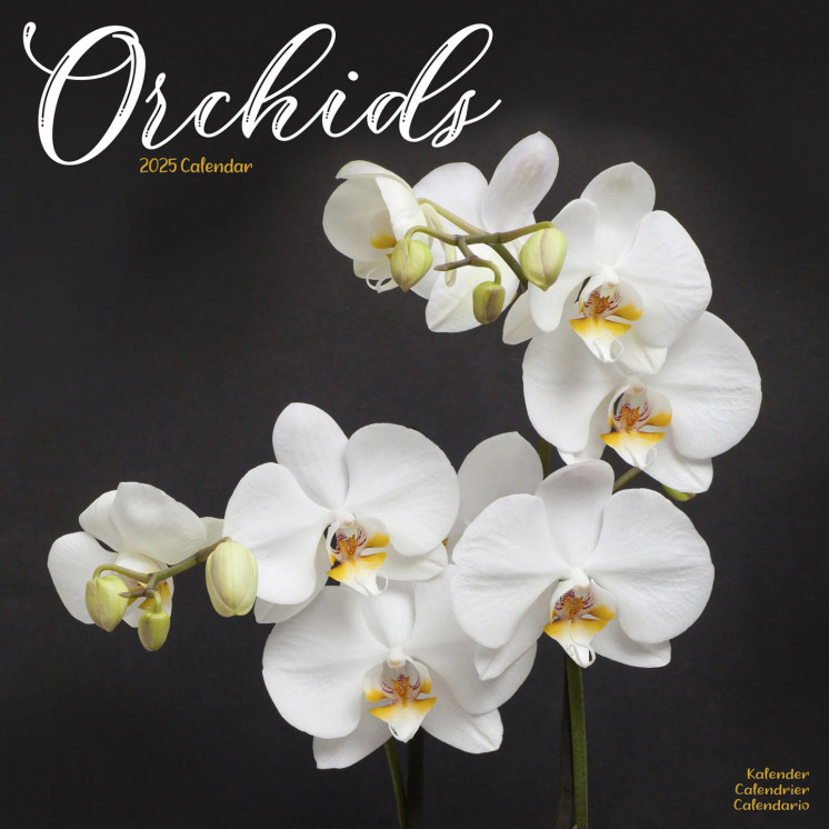 Calendrier Orchidées 2025