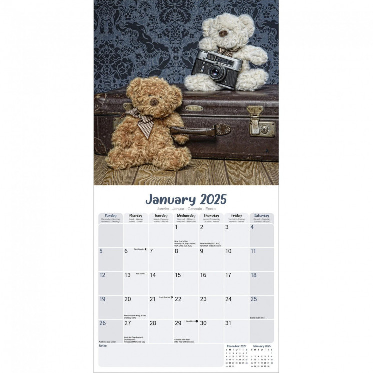 Calendrier ours en peluche 2025