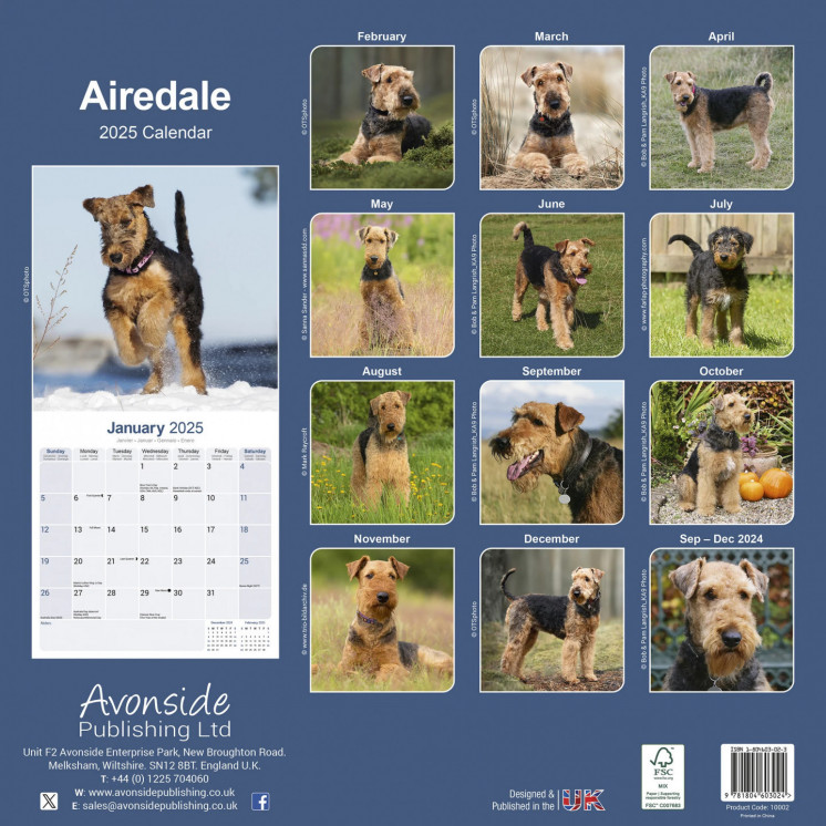 Calendrier Airedale 2025