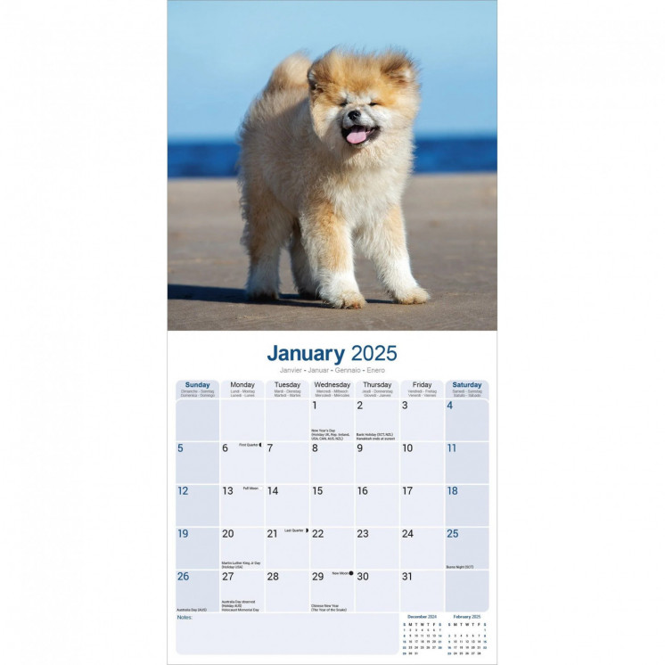 Calendrier Akita 2025