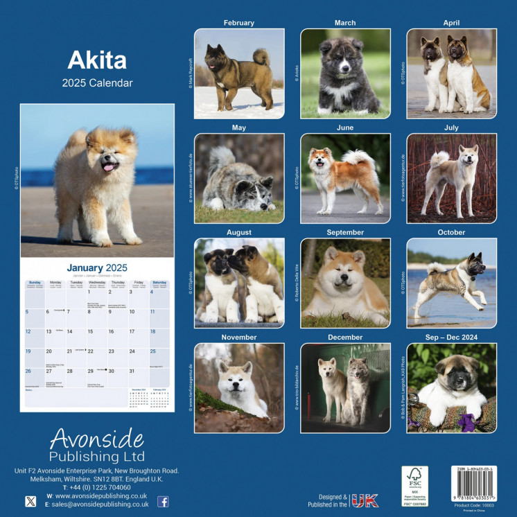 Calendrier Akita 2025