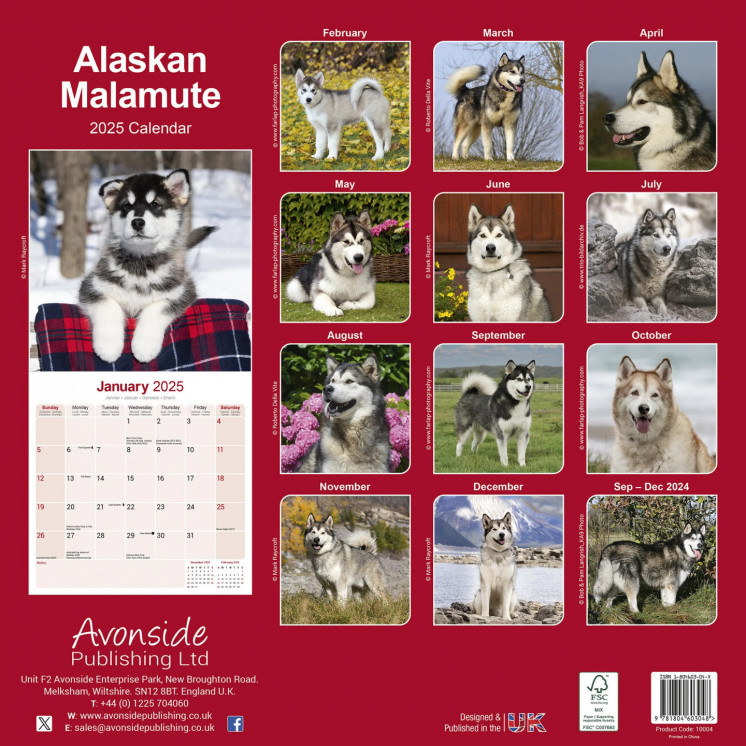 Calendrier Malamute d'Alaska 2025