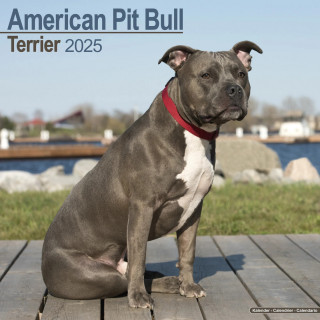 Calendrier American Pit Bull Terrier 2025