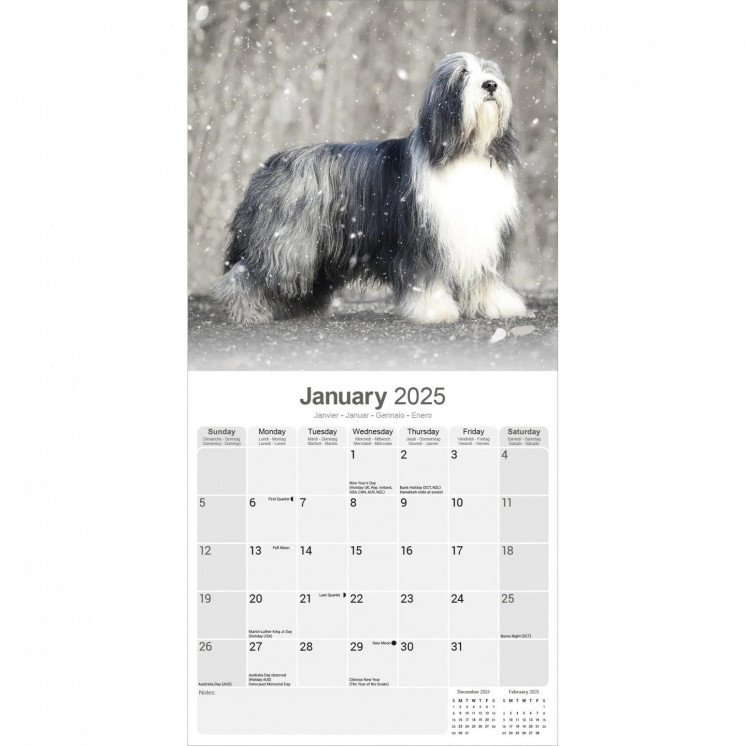 Calendrier Colley Barbu 2025