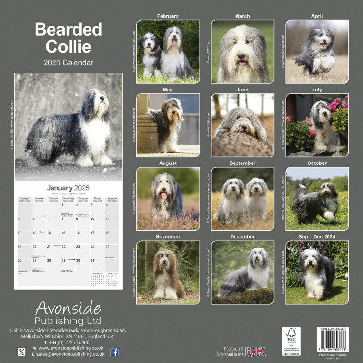 Calendrier Colley Barbu 2025