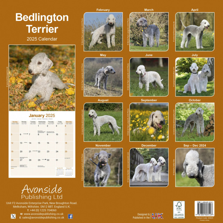 Calendrier Bedlington Terrier 2025