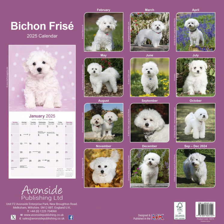 Calendrier Bichon Frise 2025