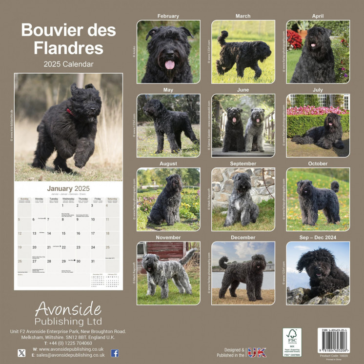 Calendrier Bouvier des Flandres 2025