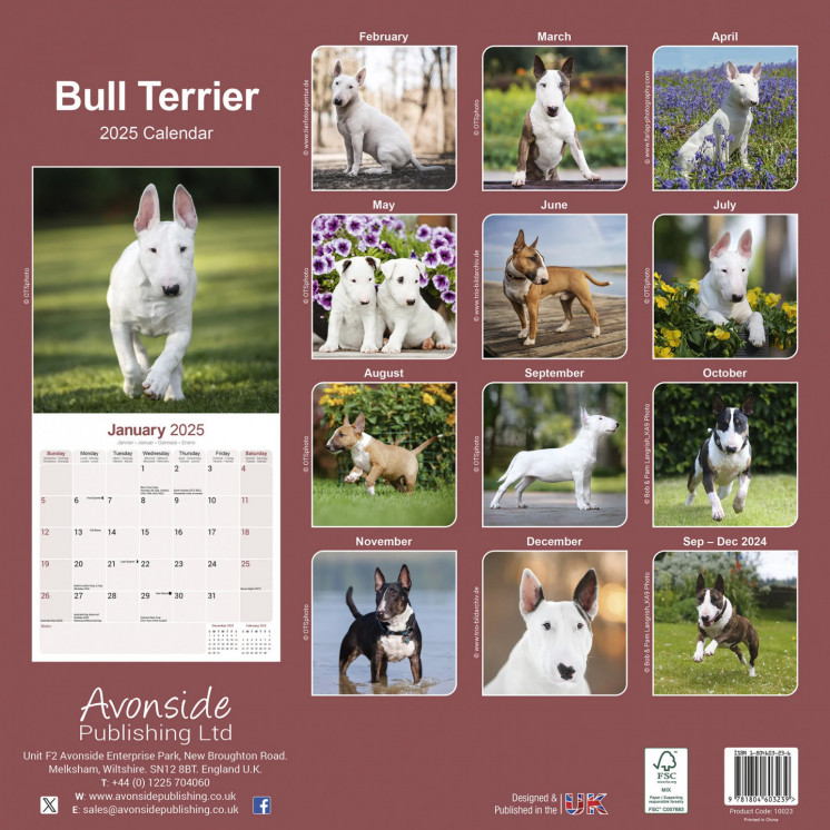 Calendrier Bull Terrier 2025