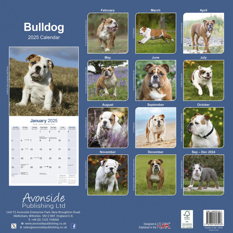 Calendrier Bouledogue 2025