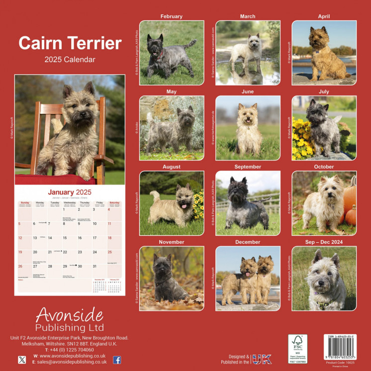 Calendrier Cairn Terrier 2025