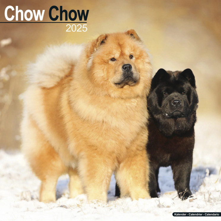 Calendrier Chow Chow 2025