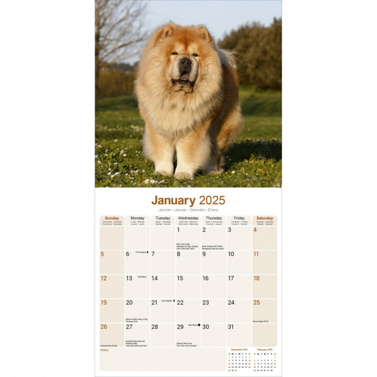 Calendrier Chow Chow 2025