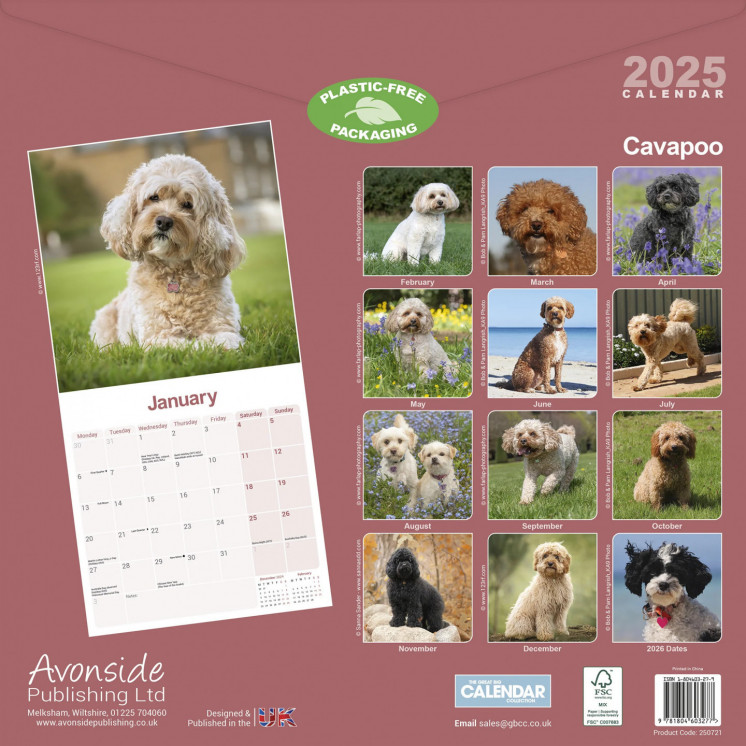 Calendrier Cavapoo 2025