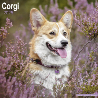 Calendrier Corgi 2025