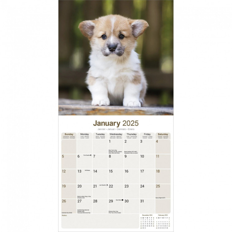 Calendrier Corgi 2025