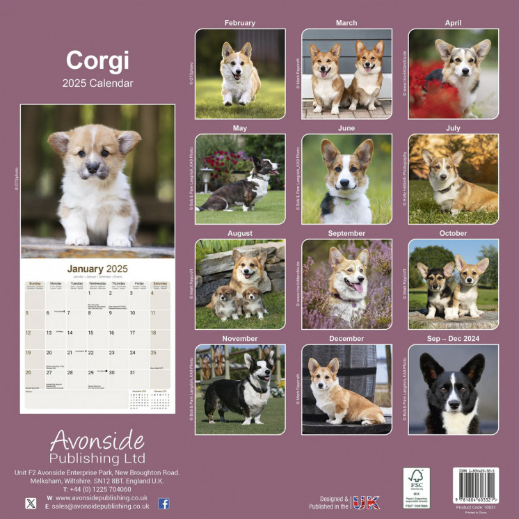 Calendrier Corgi 2025