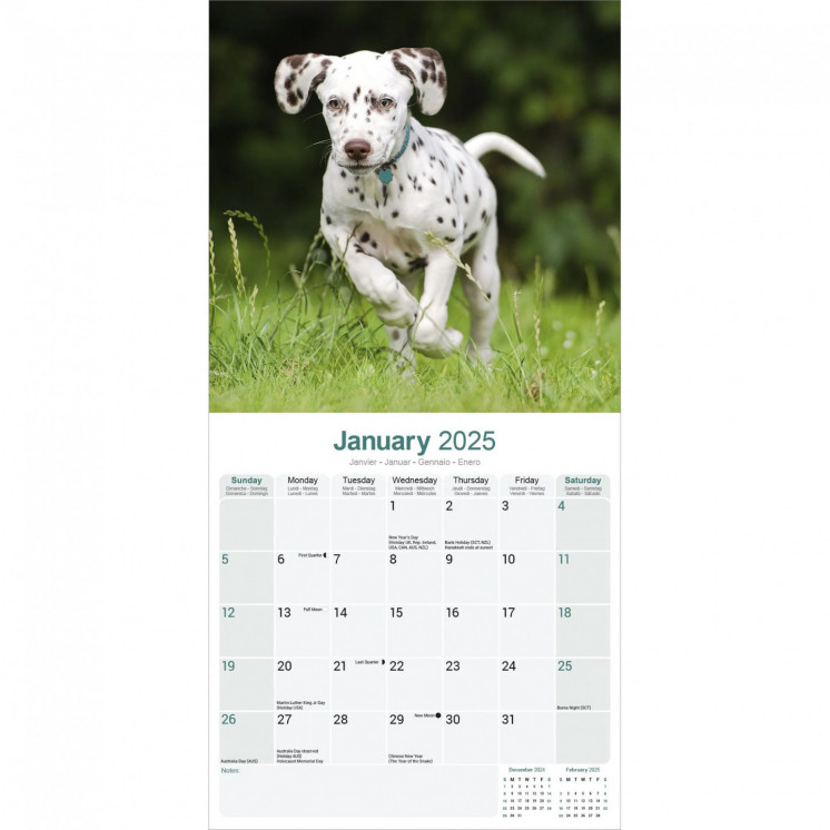 Calendrier Dalmatien 2025