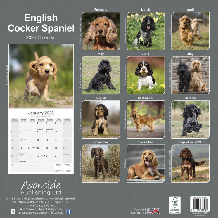 Calendrier Cocker Anglais 2025