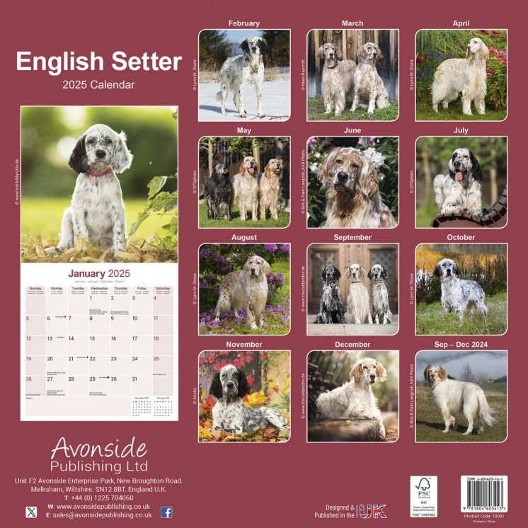 Calendrier Setter Anglais 2025