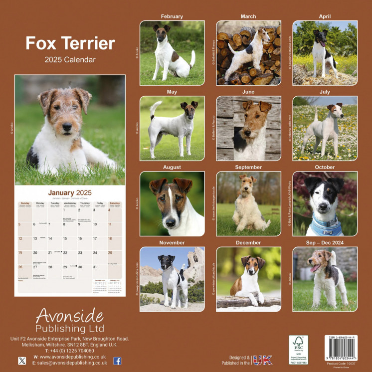 Calendrier Fox Terrier 2025