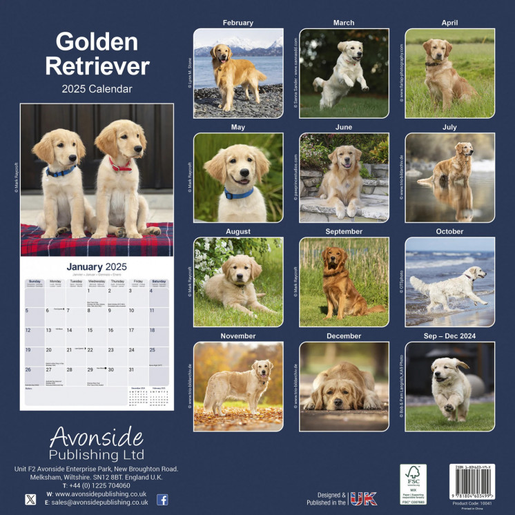 Calendrier Golden Retriever 2025