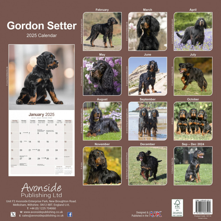 Calendrier Setter Gordon 2025