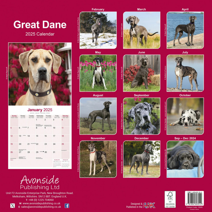 Calendrier Dogue Allemand 2025